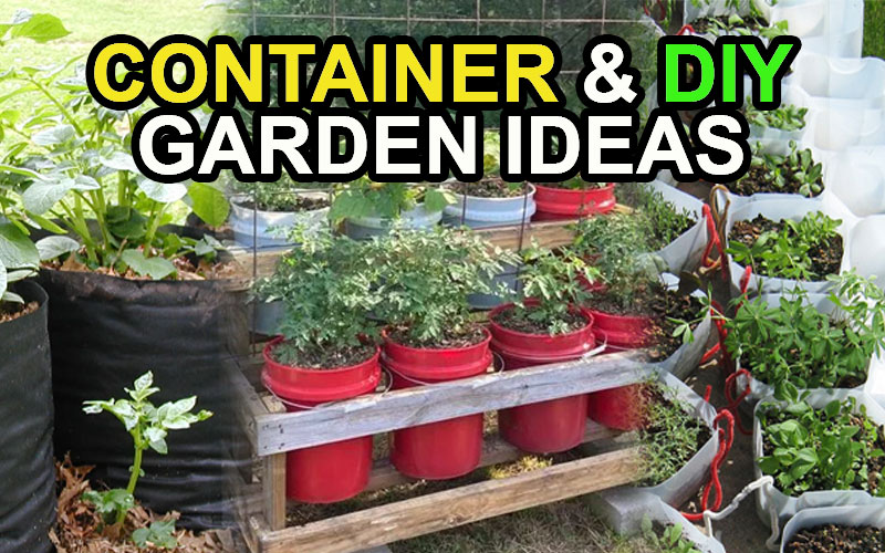 Container & DIY Garden Ideas